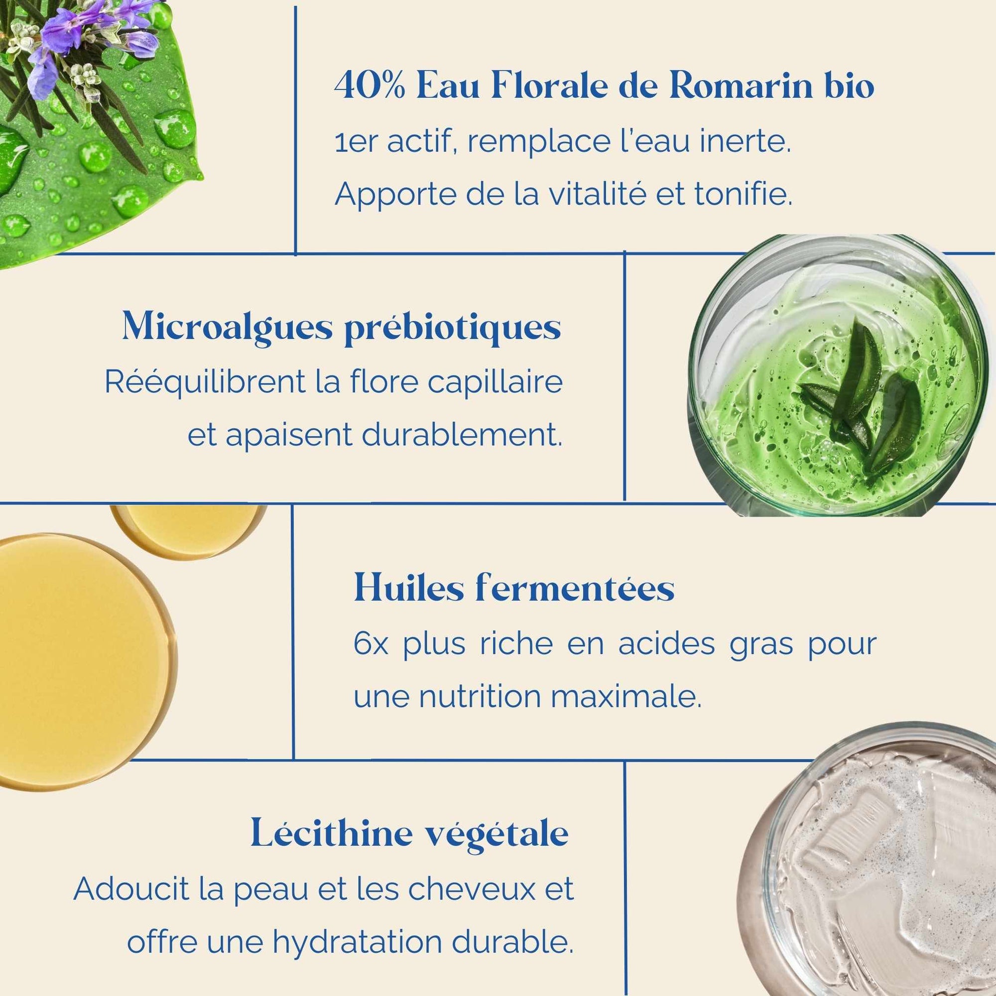 Masque-cuir-chevelu-ingredients