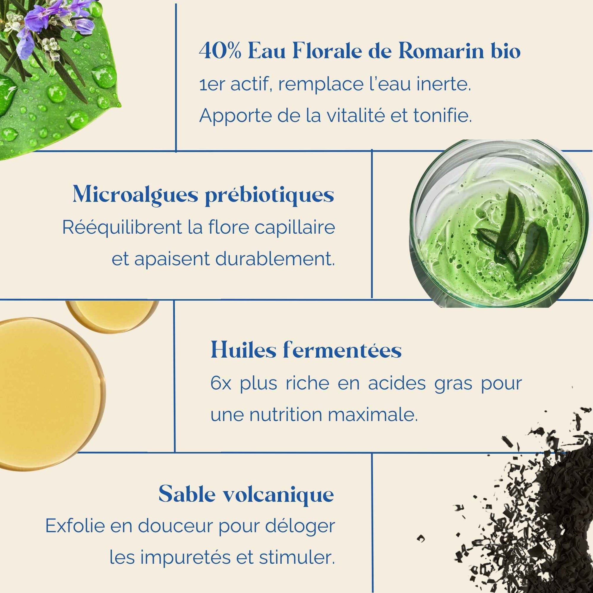 shampoing-ingredients-explications