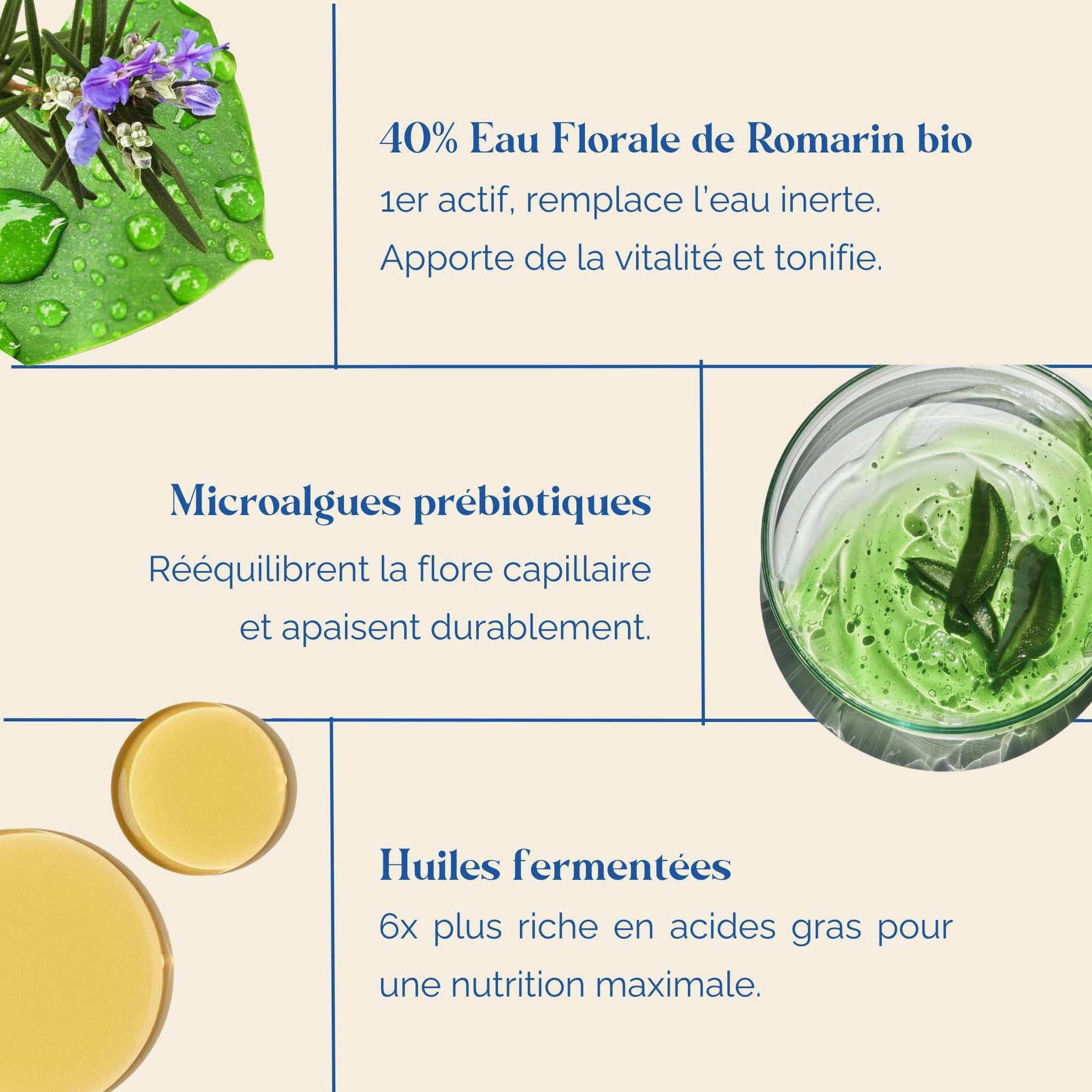 Ingredients-soins-cuir-chevelu